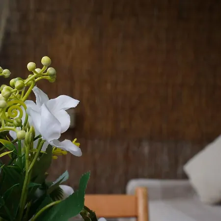 Apartament Maria's House *