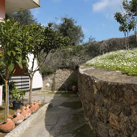 Apartman Maria's House